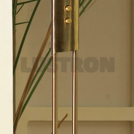 Торшер Lussole Comfort LSN-8255-02