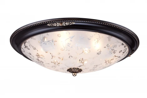 Потолочный светильник Maytoni Diametrik C907-CL-06-R