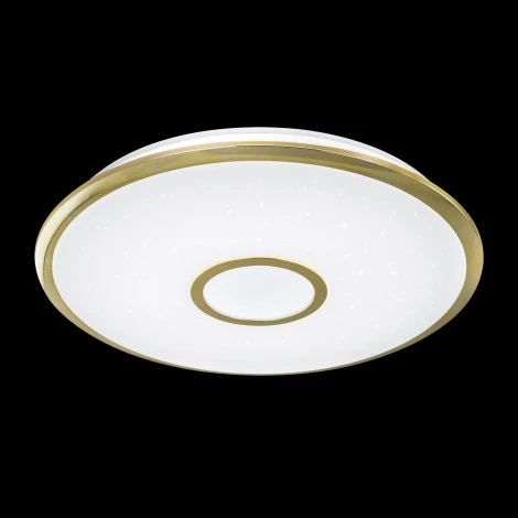 Потолочный светильник Citilux Старлайт R CL70362R