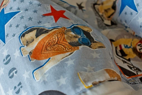 Кресло мешок Dreambag Груша Бульдоги (2XL, Классический) 5007331