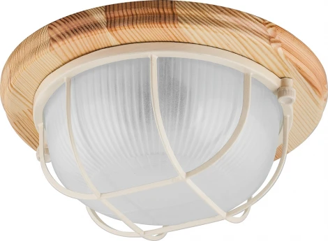 Настенно-потолочный светильник Feron НБО 03-60-012 11570 (220V, круглые, IP54)