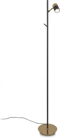 Торшер Freya Enzo FR5201FL-01B (220V)