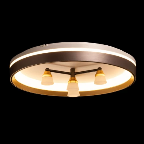 Потолочный светильник круглый De City Норден 660014701 (LED, 220V, круглые)