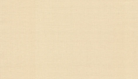 Обои виниловые 10,05 x 1,06 м Marburg 30555