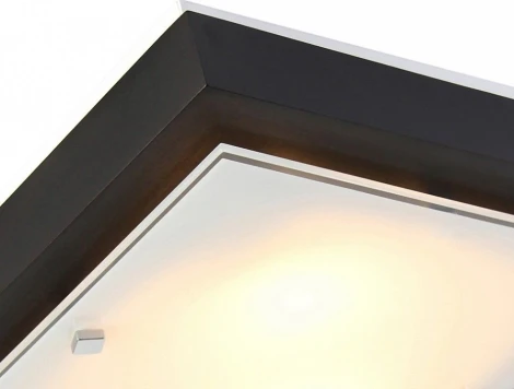 Настенно-потолочный светильник Дубравия Полина 106-41-22/1