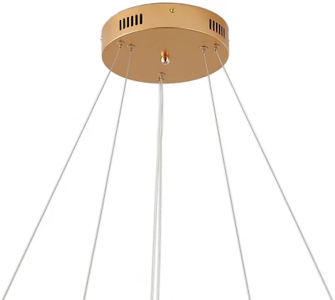 Подвесной светильник Zortes Ringolight ZRS.33320.63C (LED, 220V, на тросе)