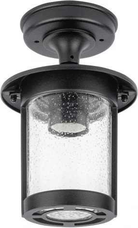 Потолочный светильник уличный Oasis Light CORDOBA 18205A Bl