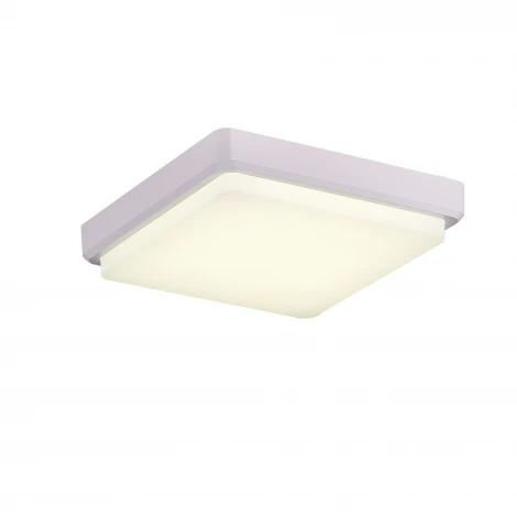 Потолочный светильник Evoluce Taddio SLE200212-01 (LED, 220V)