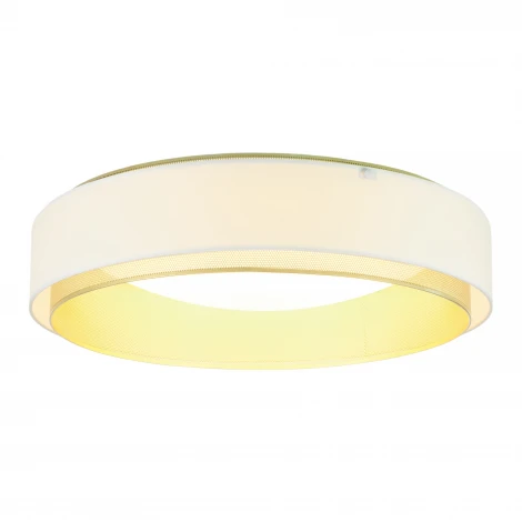 Потолочный светодиодный светильник круглый MyFar Anders MR2371-1CL (220V, круглые)