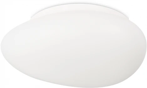 Потолочный светильник круглый Simple Story 1205 1205-LED12CL (220V, круглые)