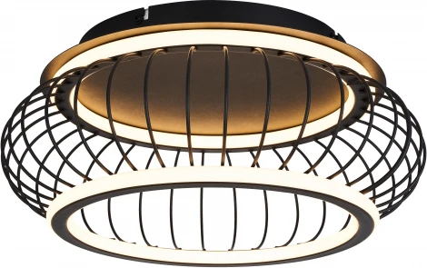 Потолочный светильник круглый F-Promo Korg 4435-2C (LED, 220V, круглые, клетка)