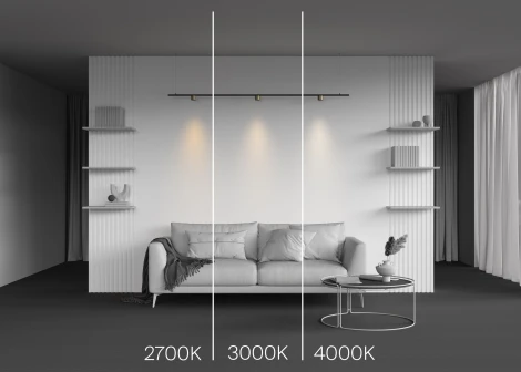 Трековый светильник магнитный 5W 24V Maytoni Alfa S TR188-1-5W4K-M-BBS (LED, круглые)