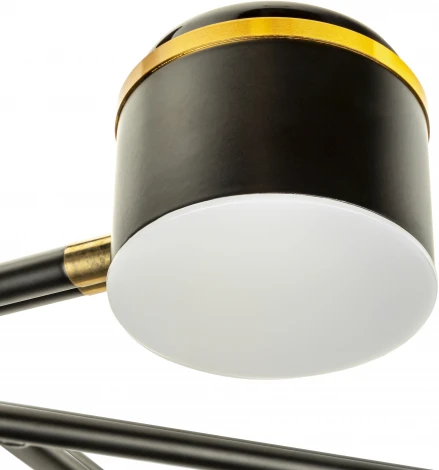 Потолочная люстра на штанге светодиодная Ritter Notte 51596 2