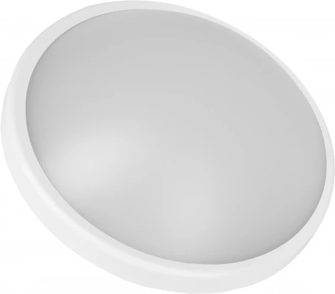 Настенно-потолочный светильник светодиодный Ritter 56025 8