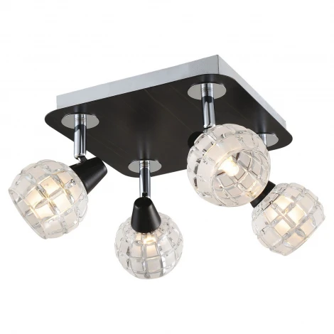 Потолочный светильник Lussole Silandro LSL-8601-04