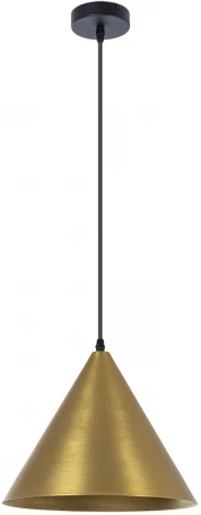 Подвесной светильник Arte Lamp David A7041SP-1BK