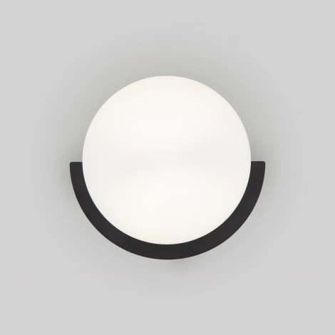 Настенный светильник Eurosvet Moity 70150/1 черный (220V, круглые)