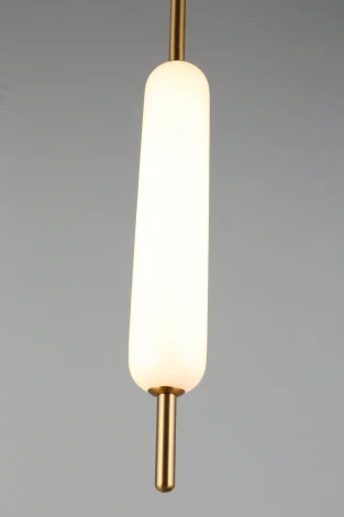 Подвесной светильник Aployt Carla APL.010.06.08 (LED, 220V, на проводе, круглые)