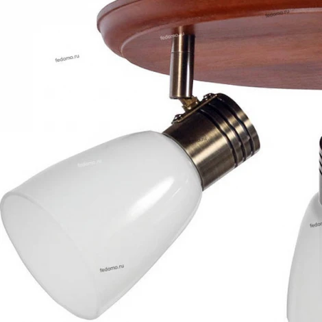 Спот Дубравия Анри 150-71-13