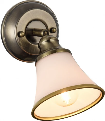 Спот Freya Jasinta FR2272-WL-01-BS (220V, круглые)