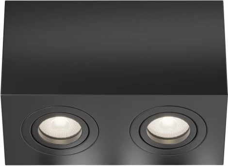 Потолочный светильник Atom GU10 2x50Вт Maytoni Technical C017CL-02B (220V)
