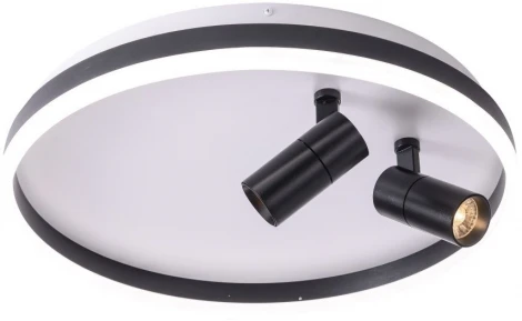 Потолочный светильник круглый со спотами Zortes Raizy ZRS.1888.01 (LED, 220V, круглые)