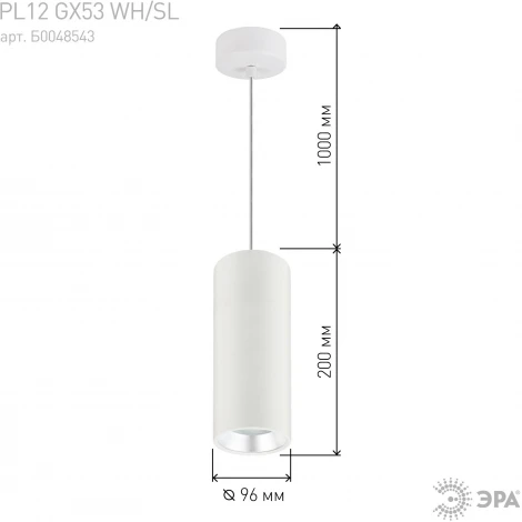 Подвесной светильник ЭРА PL12 GX53 WH/SL (220V, на проводе)