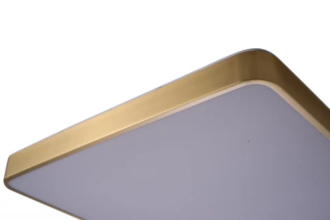 Потолочный светильник Zortes Monna ZRS.1209.05 (LED, 220V)