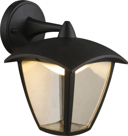 Настенный фонарь уличный Globo Delio 31826