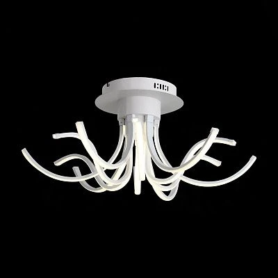 Потолочная люстра ST Luce Finde SL826.502.12