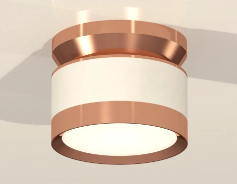 Накладной точечный светильник Ambrella Techno Spot XS8101065 (220V, круглые)