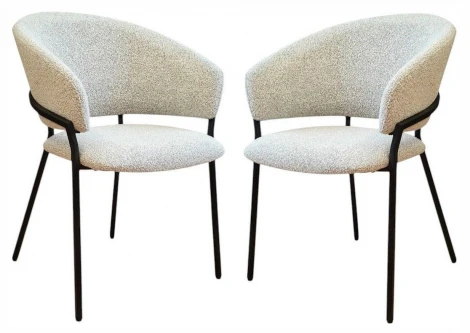 Набор из 2 стульев Bodo Hesby Металл, Черный HSBI_DC-24116_grey_2