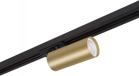 Трековый светильник Denkirs Tube DK6202-BG (220V)