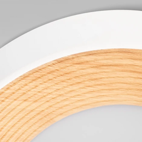 Потолочный светильник круглый Loft It Folk 10255/350 White (LED, 220V, круглые)