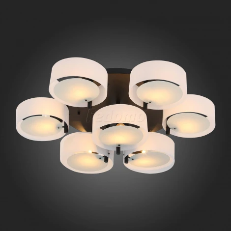 Потолочная люстра ST Luce Foresta SL483.402.09