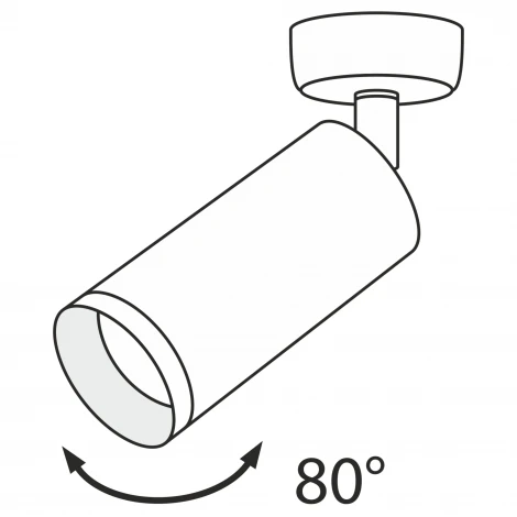 Потолочный светильник Focus GU10 1x50Вт Maytoni Technical C017CW-01CH