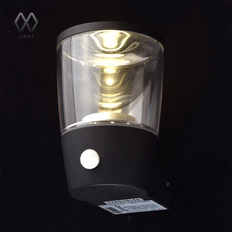 Настенный фонарь уличный DeMarkt Меркурий 807021901