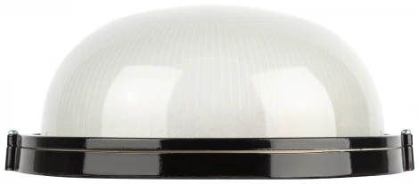 Настенно-потолочный светильник ЭРА НБП 03-100-001 в инд. упаковке НБП 03-100-001 черный