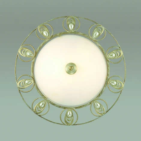 Настенно-потолочный светильник Odeon Light Kanti 3483/2C