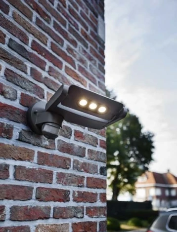 Настенный светильник уличный Oasis Light W6144S-1-PIR