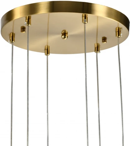 Подвесной светильник Zortes Dalin ZRS.90609.06 (220V, на проводе, цветы)