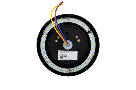 Настенный светильник уличный DesignLed CIRCUS-2 LWA0137A-BL-WW (220V, круглые, IP65)