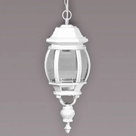 Уличный светильник подвесной Oasis Light 83405L W (220V, на цепи, IP44)