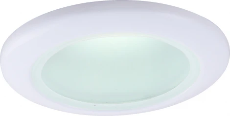 Встраиваемый точечный светильник Arte Lamp Aqua A2024PL-1WH (220V, IP44)