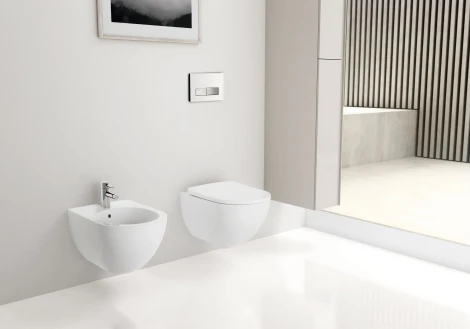 Комплект Geberit Acanto 500.301.KJ.A