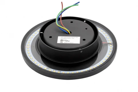 Настенный светильник уличный DesignLed CIRCUS-2 LWA0137B-BL-WW (220V, круглые, IP65)