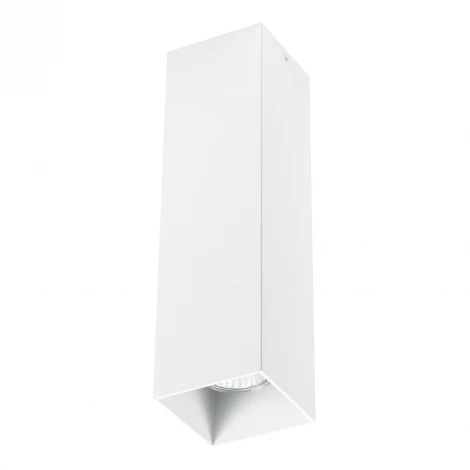 Накладной точечный светильник Lightstar Rullo 216596 (220V)