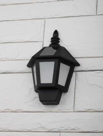 Настенный светильник уличный Эра ERAFS08-36