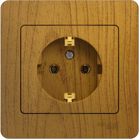 Розетка встраиваемая с заземлением (дуб) Systeme Electric Glossa GSL000542