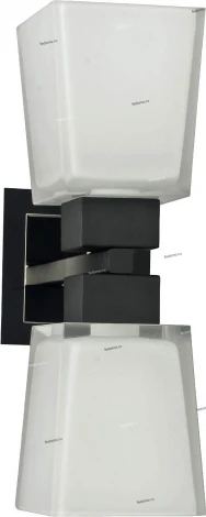 Настенный светильник Lussole Lente LSC-2501-02 (220V, IP21)